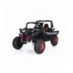 Voiture électrique 2 places 24V Buggy RSX Noire